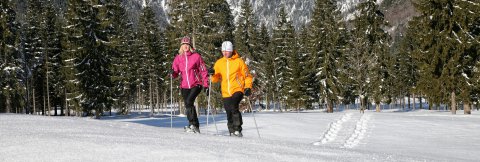 Wandern als Gast des Hotels Karwendel in Pertisau am Achensee