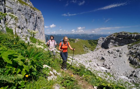 Wandern während des Bergsommers in Tirol