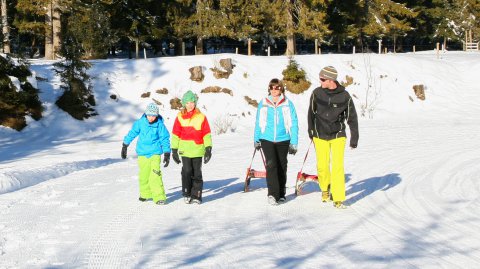 Rodeln im Winterurlaub mit der Familie in Pertisau